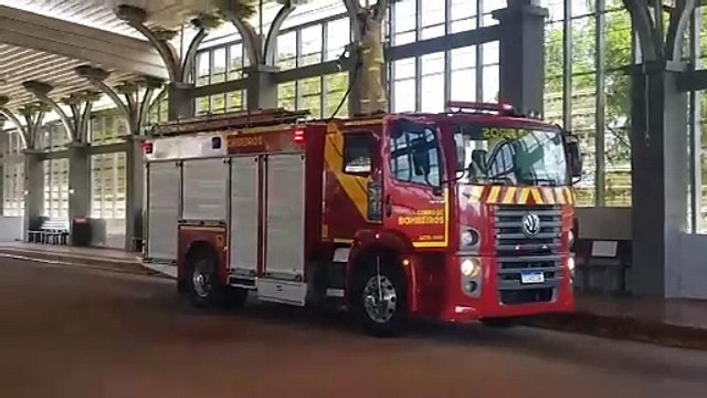 Corpo de Bombeiros de Cascavel mobilizado para capturar Pitbull no Terminal Nordeste