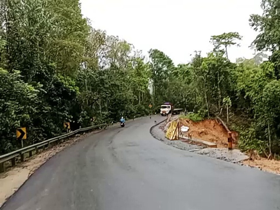 Hati-hati Banyak Monyet Turun di Jalan Arah IKN