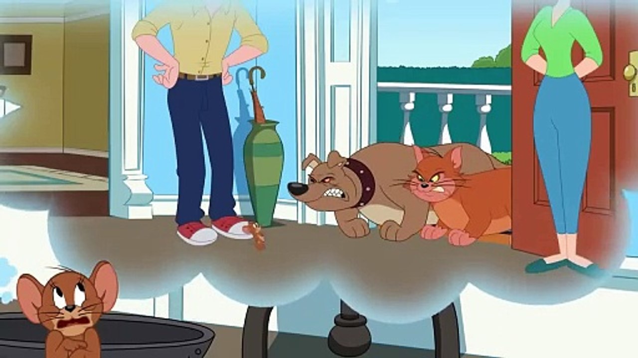The Tom and Jerry Show