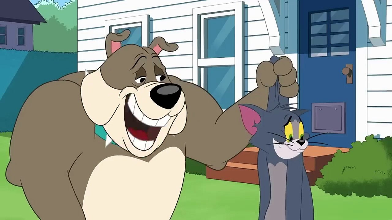 The Tom and Jerry Show