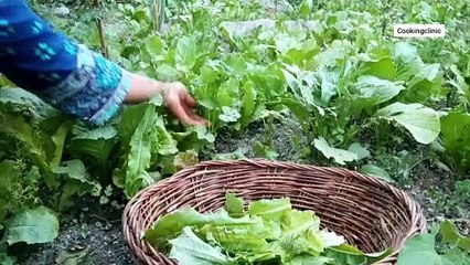 Village life in Gilgit Baltistan Pakistan