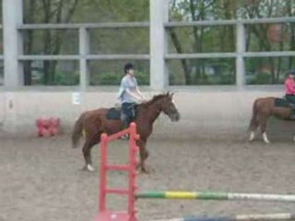 cso saut d'obstacle avec karatchi!