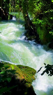 Nature Sounds ♬♬ || Nature Discovers.......#shorts #naturesounds #natureshorts @naturediscovers