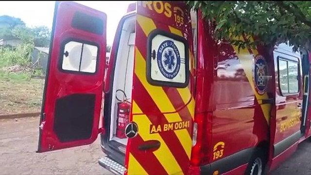 Homem fica ferido ao cair de árvore no Turisparque