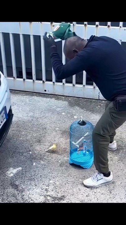 follow here -  The Tesla Cybertruck is an all-electric, battery-powered light-duty truck unveiled by Tesla, Inc.  Here’s a comprehensive overview of its key features and specifications-  Tesla Cybertruck O_2