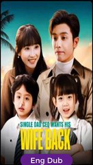 [Eng Dubbed] Single Dad CEO Wants His Wife Back