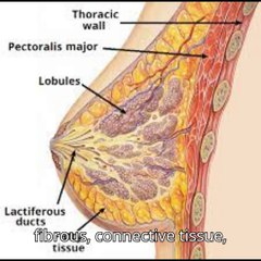 "Mammogram centers must now inform women about their breast density"