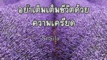 อย่าเติมเต็มชีวิตด้วยความเครียด #mindset #คำคมสอนใจ #silsila #silsilasilsila