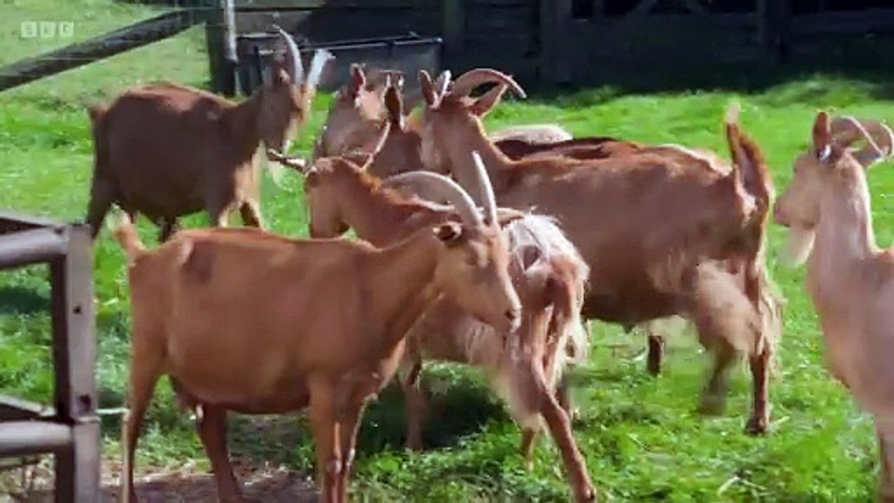 Countryfile - Stranraer Oyster Festival