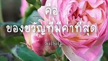 เวลาคือของขวัญที่มีค่าที่สุด #shorts #shortsvideo #shortvideo  #shortsfeed2024 @Silsila.Silsila