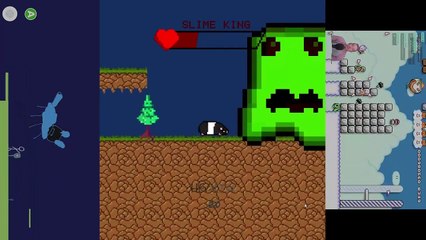 realm of guinea pigs modification