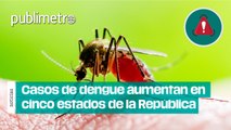 Aumento de casos de Dengue enciende las alertas en cinco estados de la República