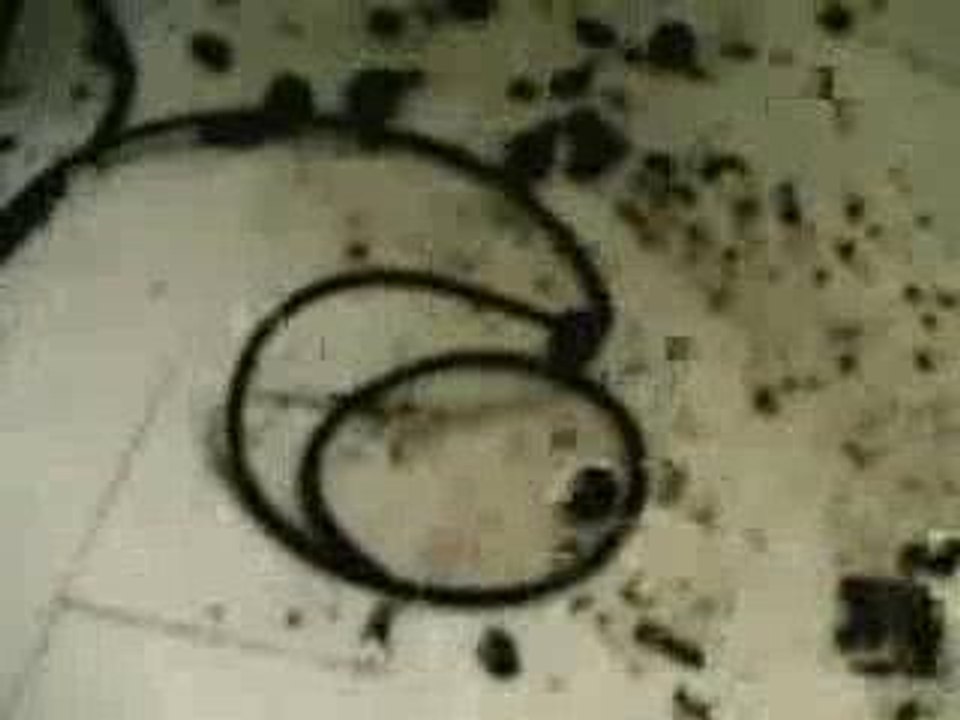 jack johnson - Sitting, Wishing, Waiting