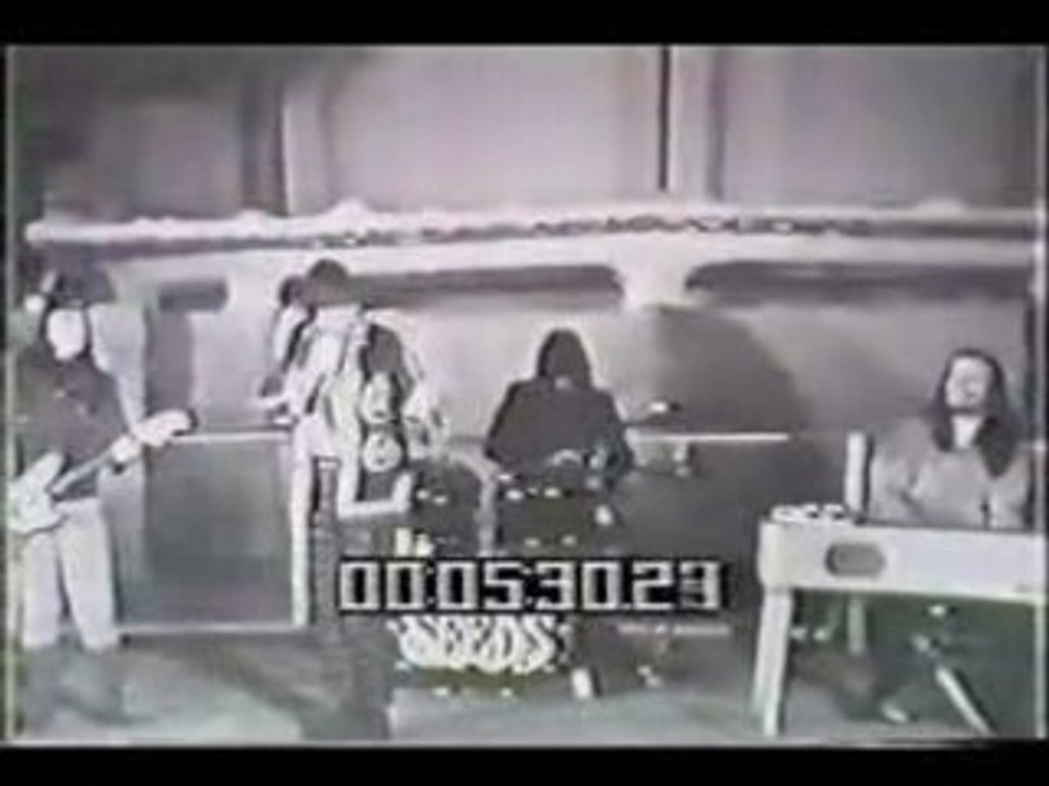 The Seeds - Mr Farmer