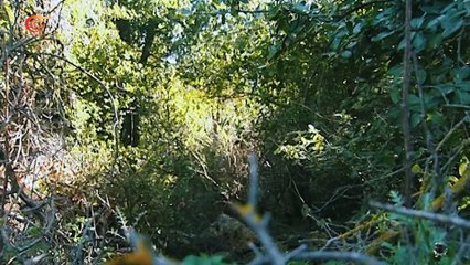 نحن لها - ومضات الميادين