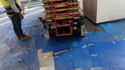 VID-20241013-WA0007