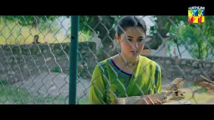 [OST]   Sang-e-Mah  With Lyrics  Singer Atif Aslam  HUM TV