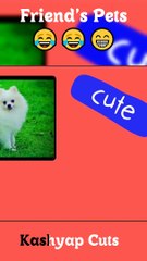 Friends Family  Pet's (Cat  Vs Dog ) || Kashyap Cuts...........#short #shortvideo #animation