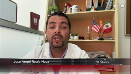 ¿Es la gripe aviar, la próxima pandemia?