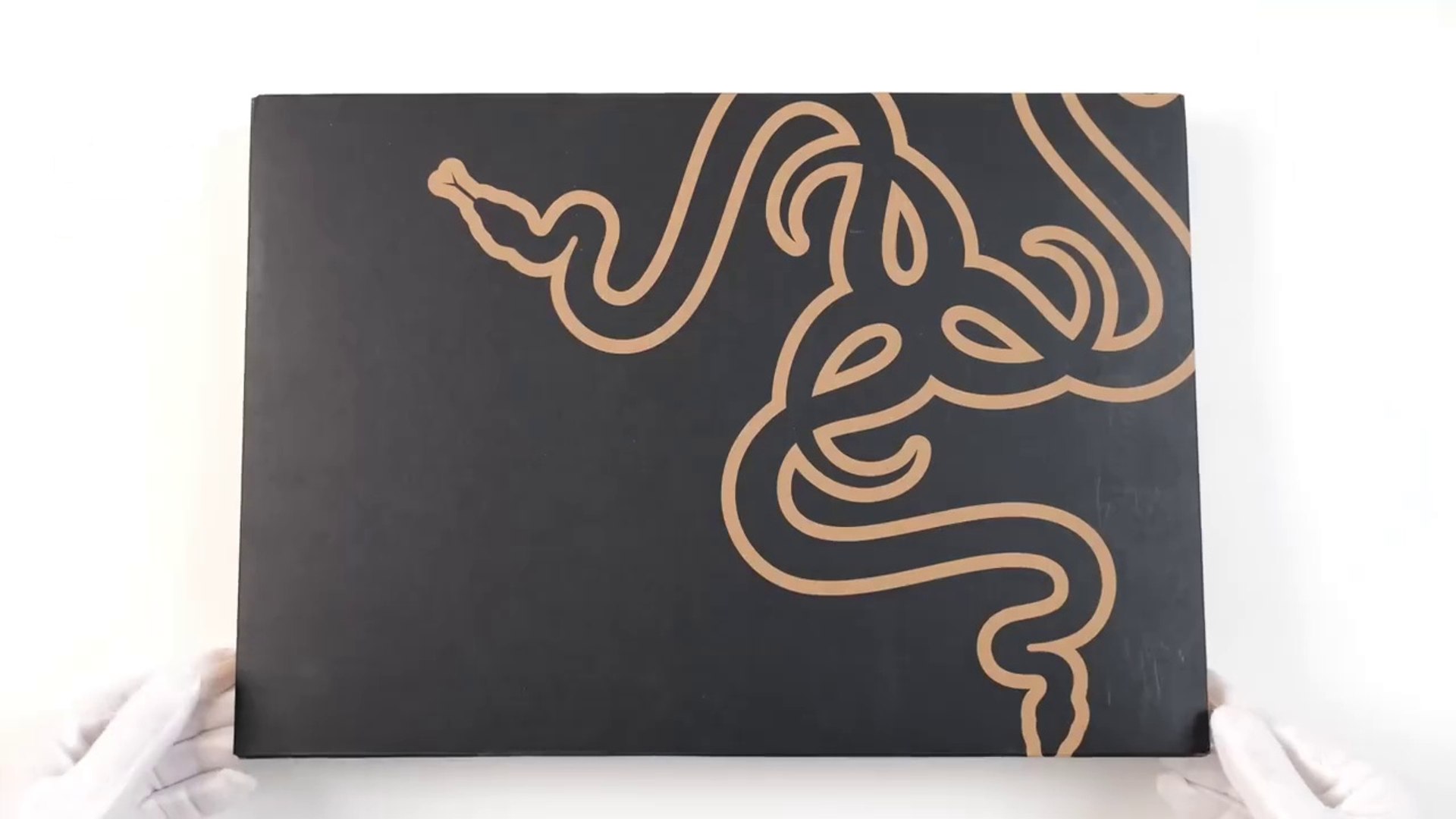 ⁣The Razer Monster Laptop - RTX 4090! (Black Myth Wukong) Fortnite Gear_HD