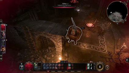 Baldur's Gate 3(Good)-I Don't Think She Wanted To Fight Us