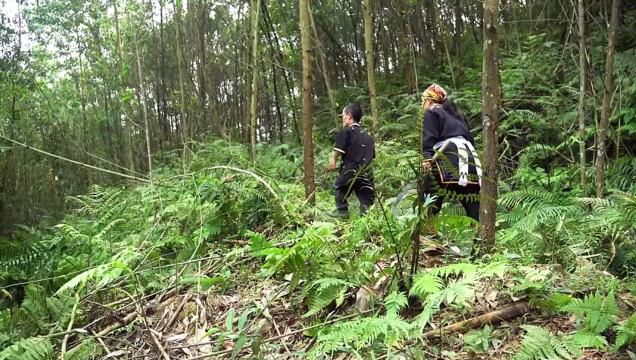 Dwarf Family Journey in Building a Goat Shelter - Happy Forest Survival Life.