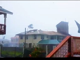 Best entertaining videos