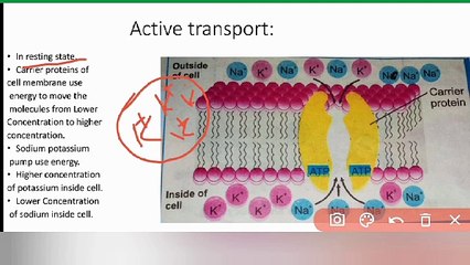 Active transport class 9 Biology in Urdu / in Hindi | Lecture #26 | cells and tissues | Chapter #4