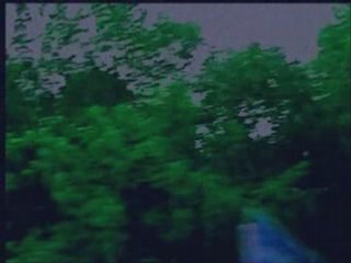 The Shangs - Six O'clock In The Morning