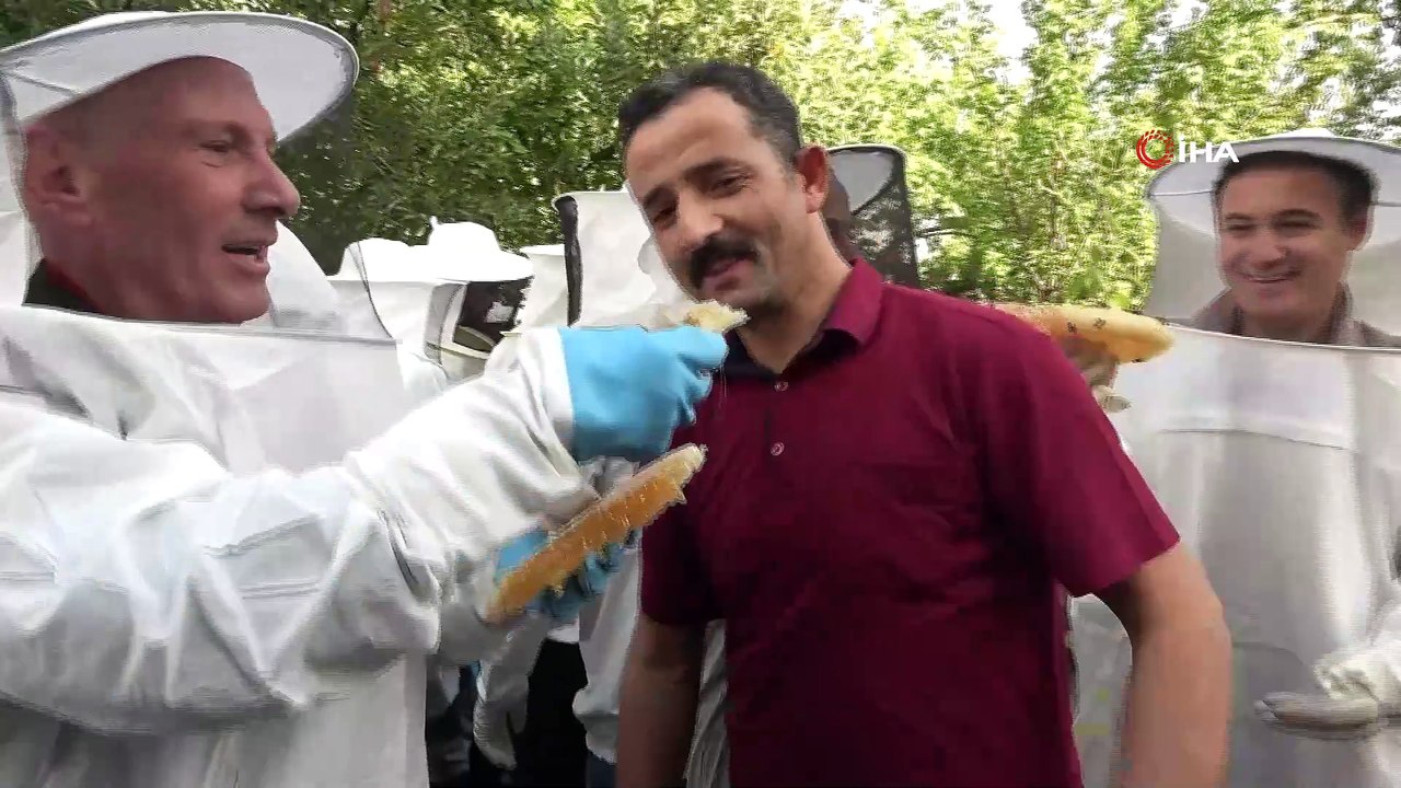 Van'da halaylı bal hasadı