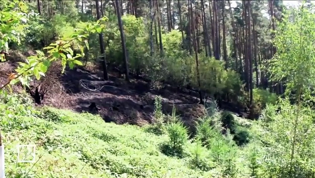 Kripo live vom 13. Oktober 2024