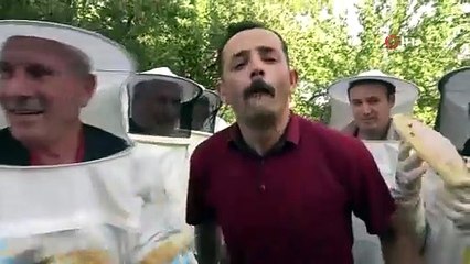 Van'da halaylı bal hasadı