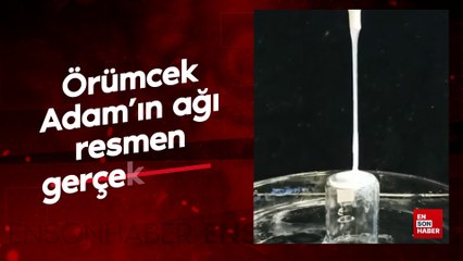 Örümcek Adam'ın ağı resmen gerçek oldu