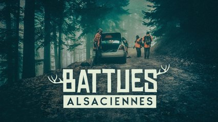 Chasse en battue dans les forêts alsaciennes 🌲