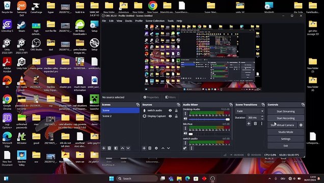 glitching with Nocturna. Realm of Guinea pigs glitch video 2024-07-30 13-55-01