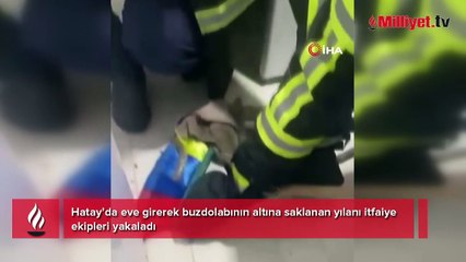 Yer: Hatay! Buzdolabının altından çıkan yılan şoke etti