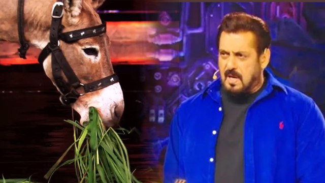 Bigg Boss 18: Gunaratna Sadavarte Gadhraj Donkey Evicted After PETA India Letter To Salman Khan