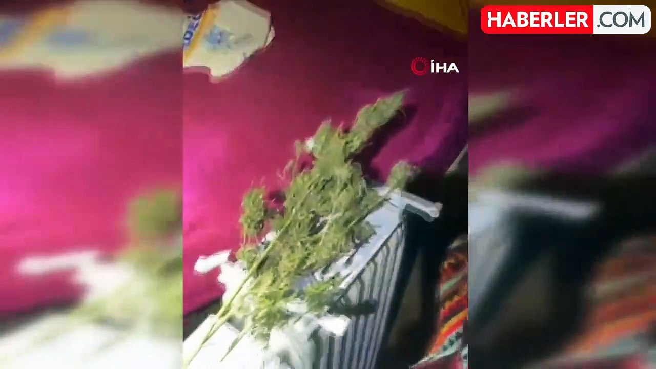 Sarıyer'de Uyuşturucu Operasyonları: 6 Gözaltı ve Tuzlukta Narkotik Tohumu
