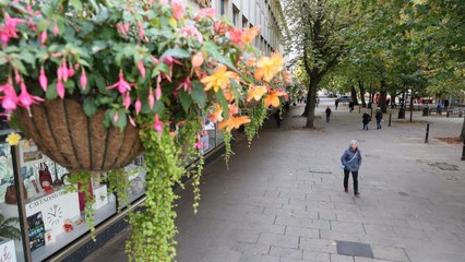 Posh town cuts back on hanging baskets - to save energy