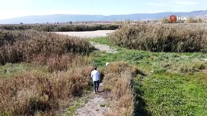Türkiye’nin En Önemli Kuş Cennetlerinden Biriydi: Kuraklık Ezip Geçti!