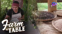 It's a RICE adventure with Chef JR Royol! | Farm To Table