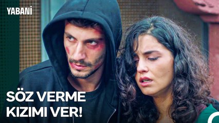 Alaz, Mekanın Patronuyla Anlaşma Sağladı - Yabani 41. Bölüm