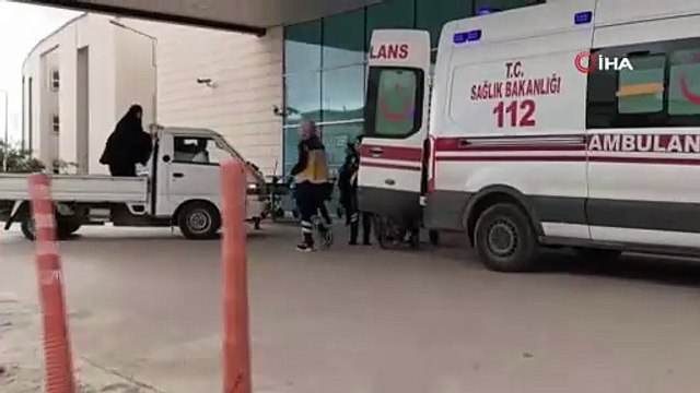 Kedi-köpek kavgasını ayırmak isterken hastanelik oldu