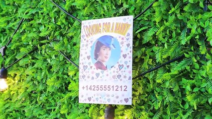 Super Babysitter! Funny Twin Pranks! (1)