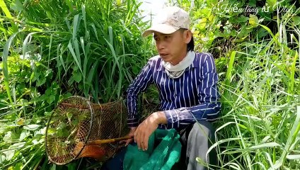 Quái Vật Đầm Lầy Vô Lờ Cá Hết Đường Thoát Bị Nó Đớp Một Phát XANH MẶT ( The Swamp Monster Ignores The Fish With No Way To Escape And It Bites It In A BLUE FACE )