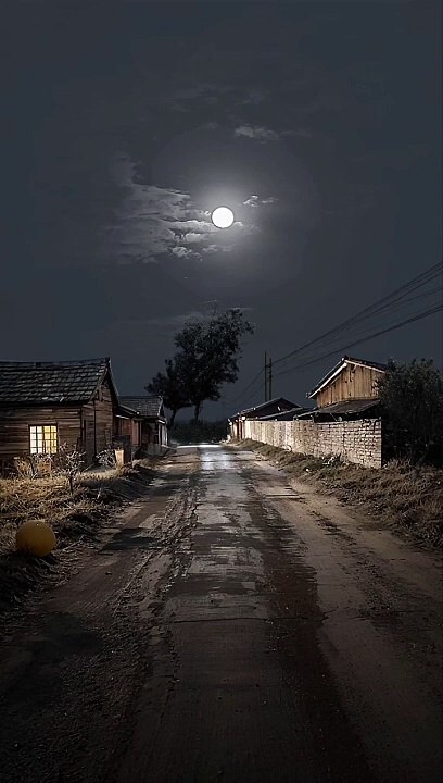 Night mood #night #nightlife #nightphotography #village #nature #fyp #explore (1)