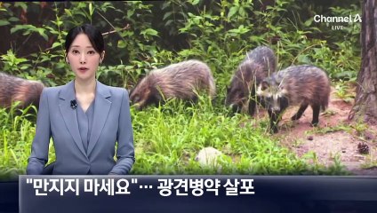 “만지지 마세요”…야생동물 광견병 예방약 살포