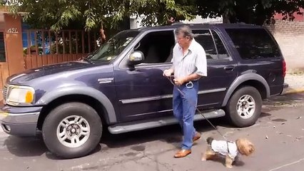 VER A LA CAZA DEL CHACAL Pelicula completa en español