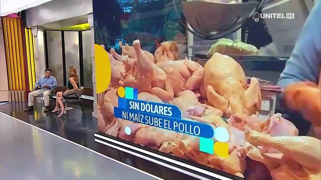 Avicultores lamentan que el precio de sus insumos e incrementaron