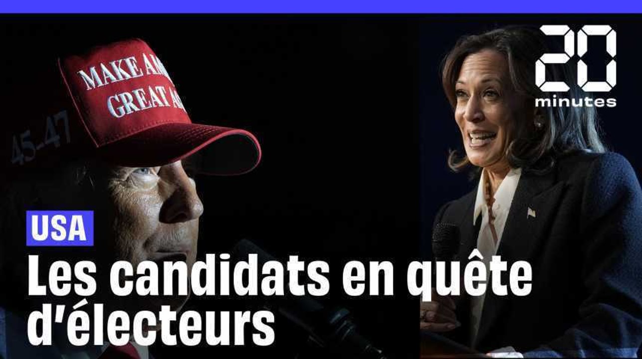 Présidentielle américaine 2024 : Trump ou Harris ? Que disent les derniers sondages ?